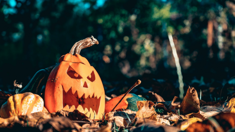 What’s the story behind Halloween?